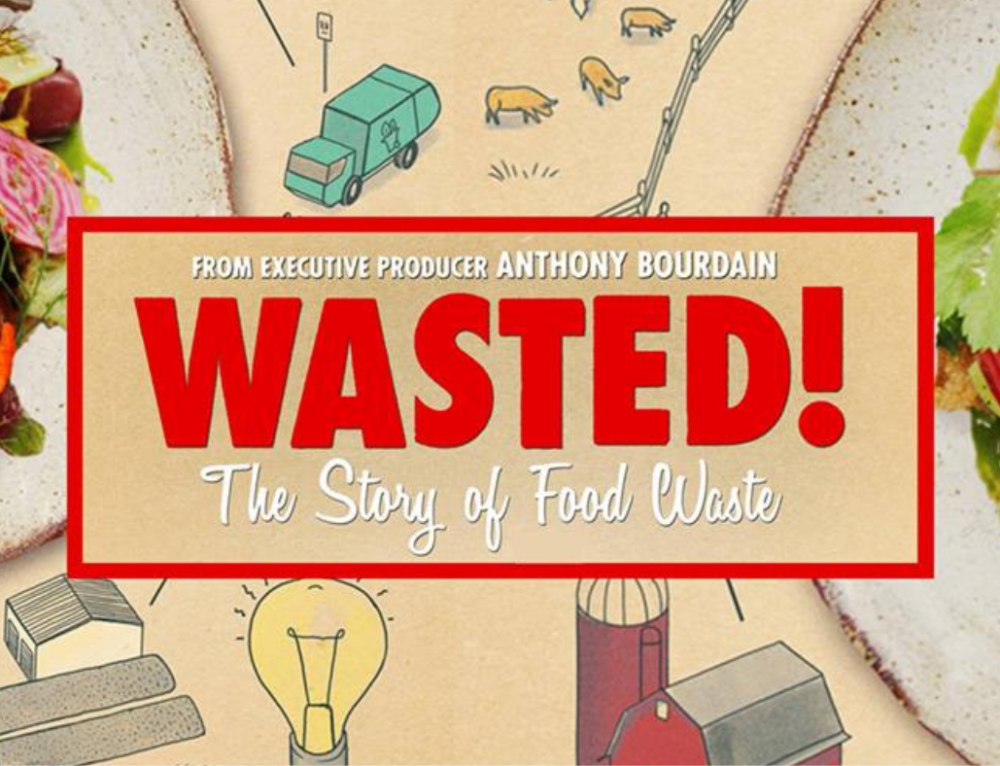 wasted book controversy