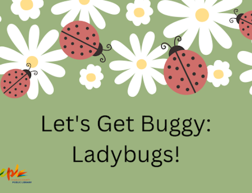 Let’s Get Buggy: Ladybugs!