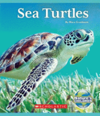 https://ccplonline.org/wp-content/uploads/2023/06/Extraordinary-Sea-Turtles-Images-1-200x230.png