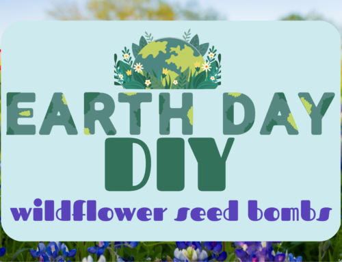 Earth Day DIY: Wildflower Seed Bombs