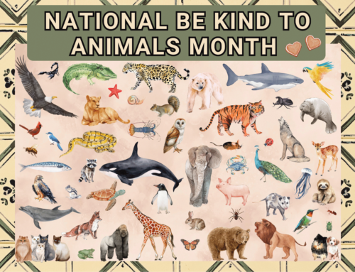 National Be Kind To Animals Month