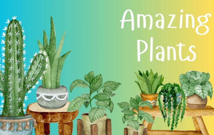 Amazing Plants