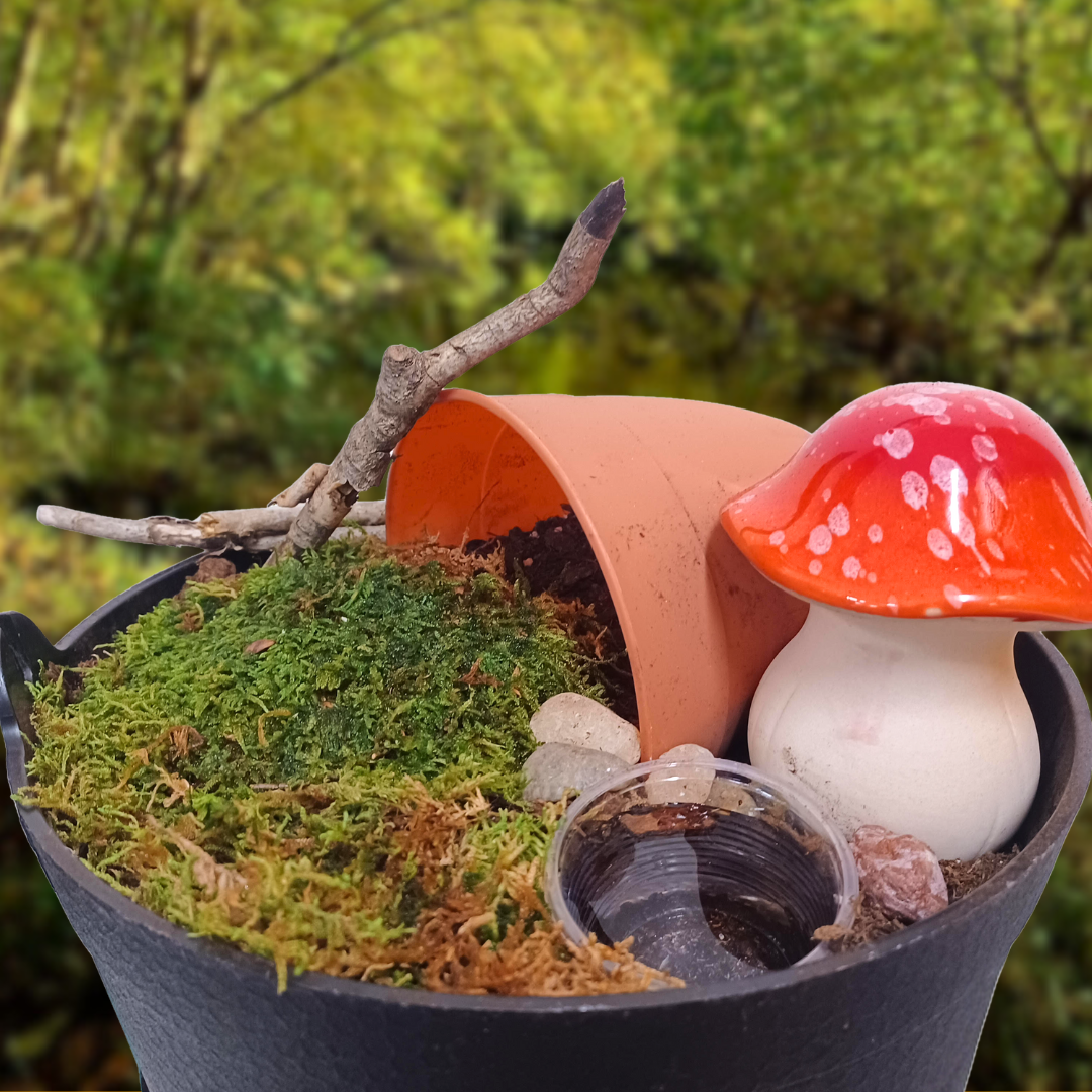 Make Your Own Frog Garden – Charles County Public Library