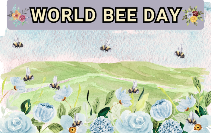 World Bee Day