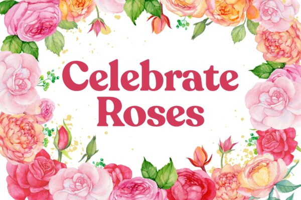 Celebrate Roses