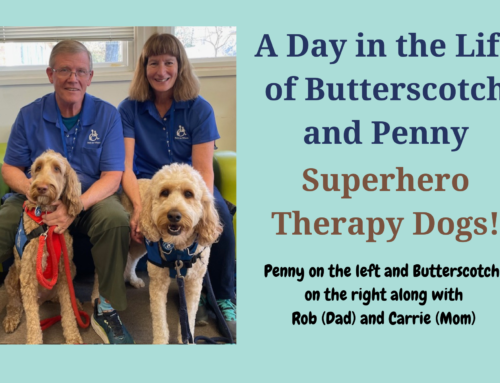 A Day in the Life of Butterscotch and Penny