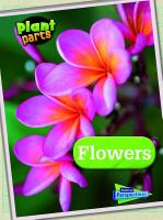 Flowers By Melanie Waldron
