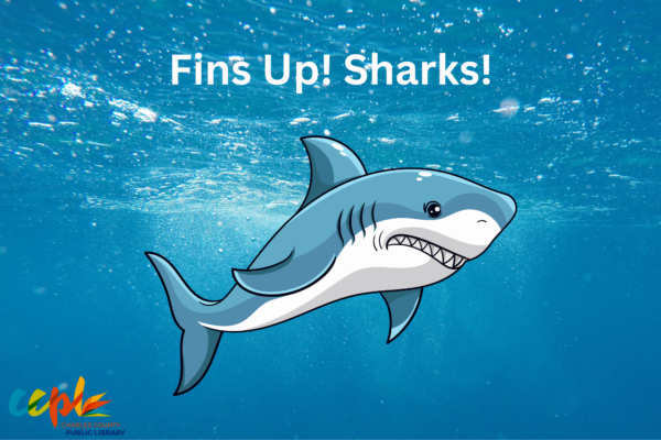 Fins Up! Sharks!