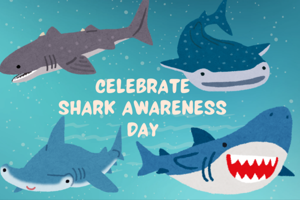 Celebrate Shark Awareness Day