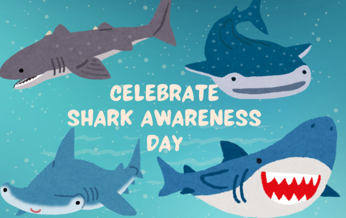 Celebrate Shark Awareness Day