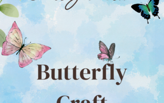Art Junction Butterfly Craft