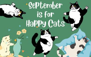 Happy Cat Month September