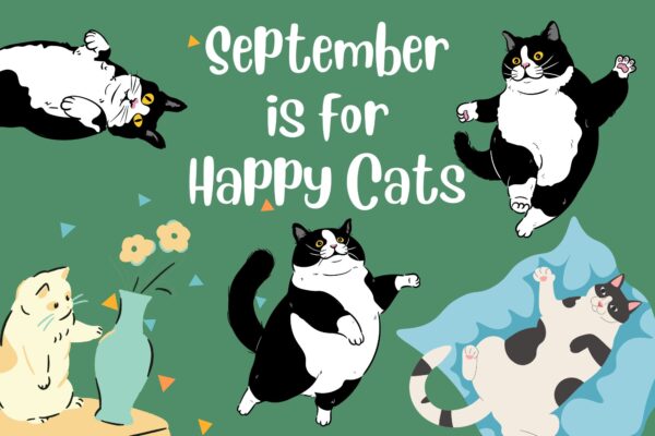 Happy Cat Month September
