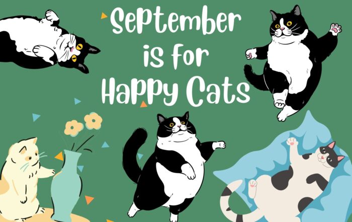 Happy Cat Month September