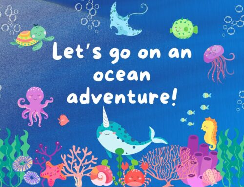 Let’s go on an ocean adventure