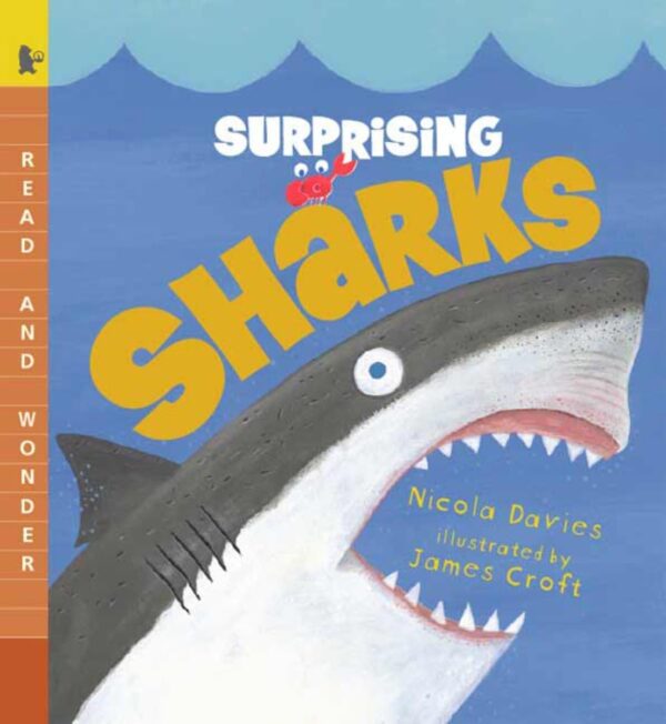 Surprising sharks by Nicola Davies