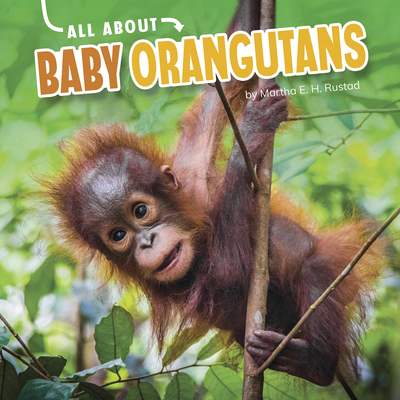 All About Baby Orangutans by Martha E.H. Rustad