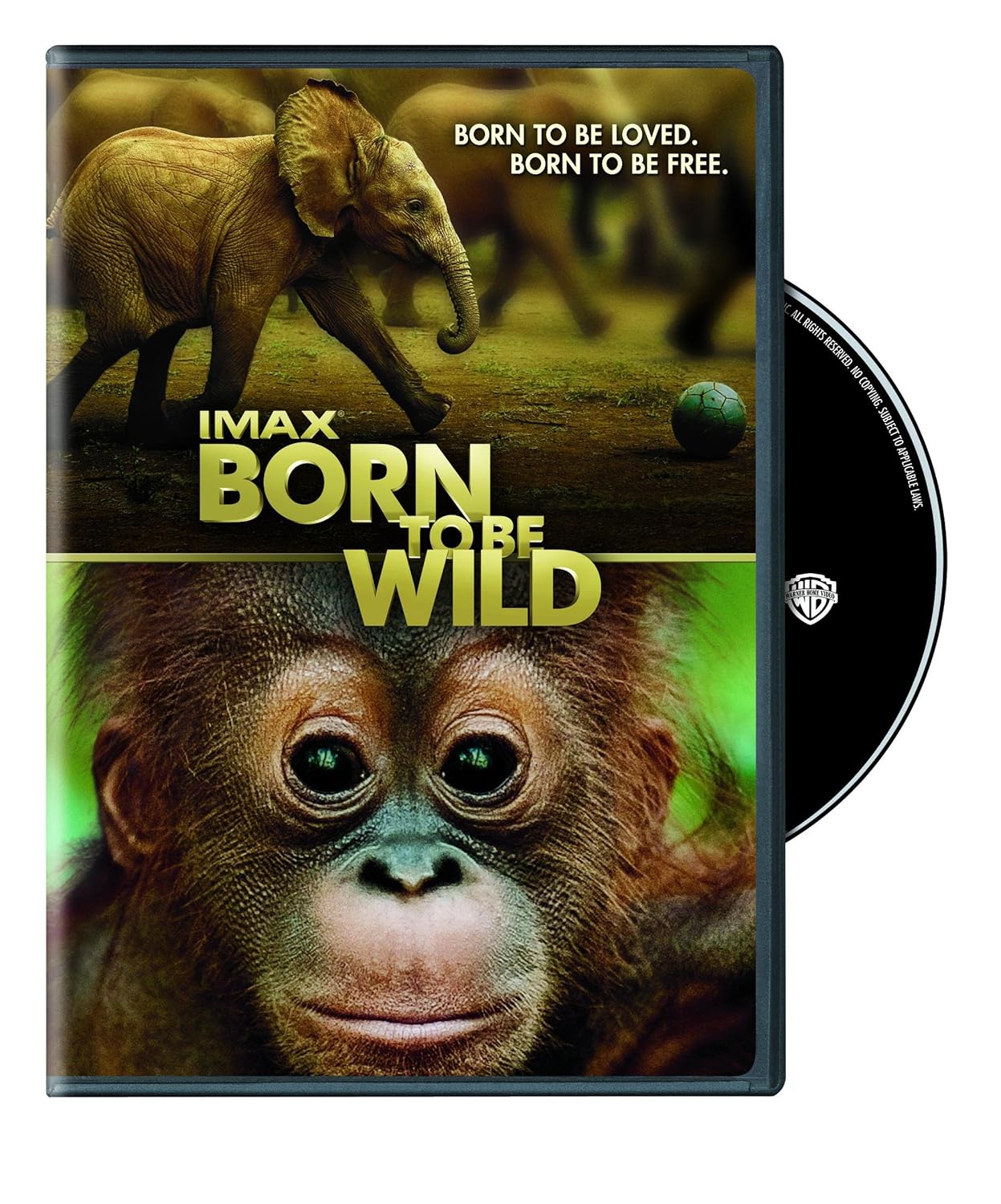 Born To Be Wild (DVD) produced and written by Drew Fellman; directed by David Lickley