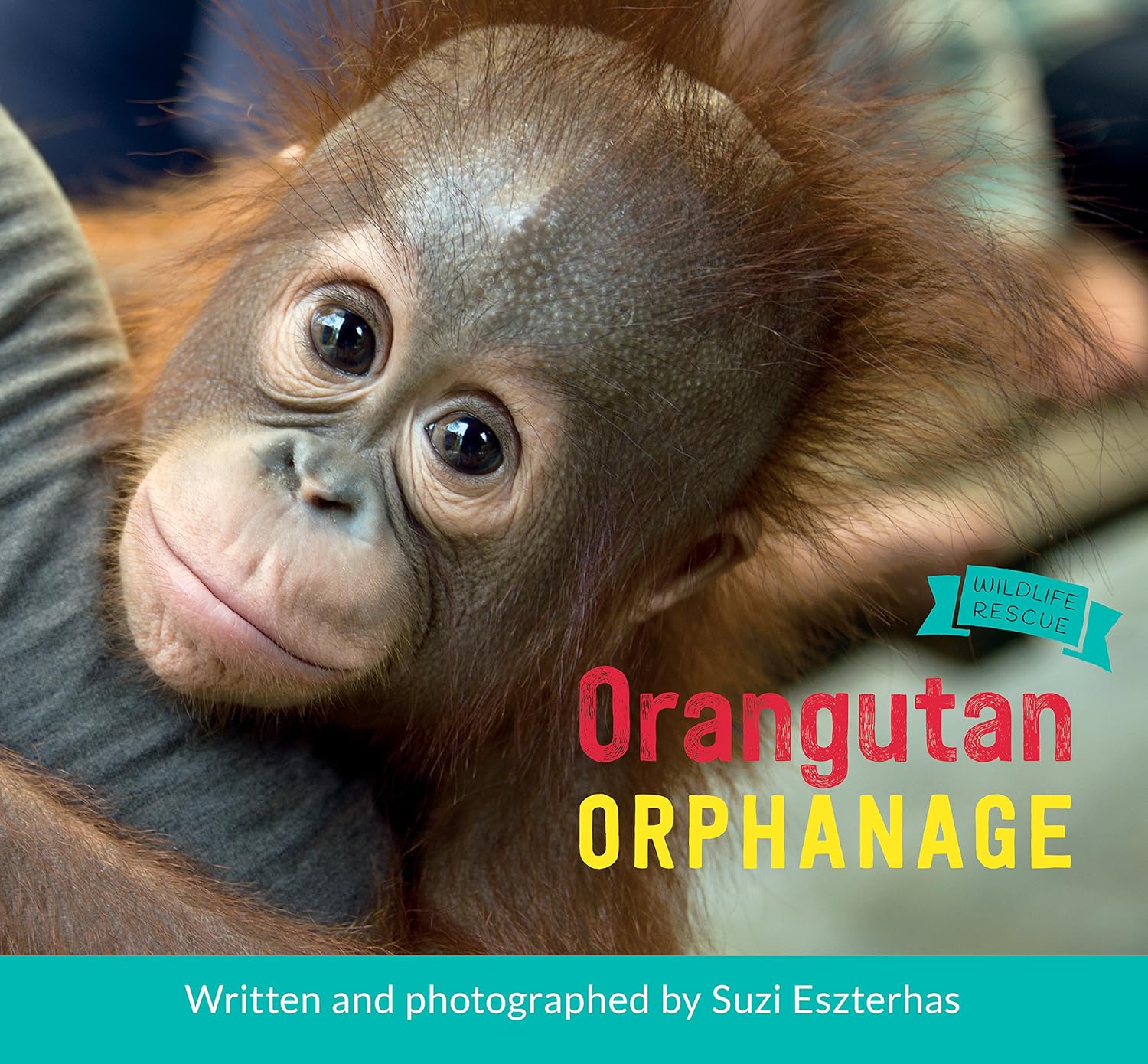 Orangutan Orphanage by Suzi Eszterhas