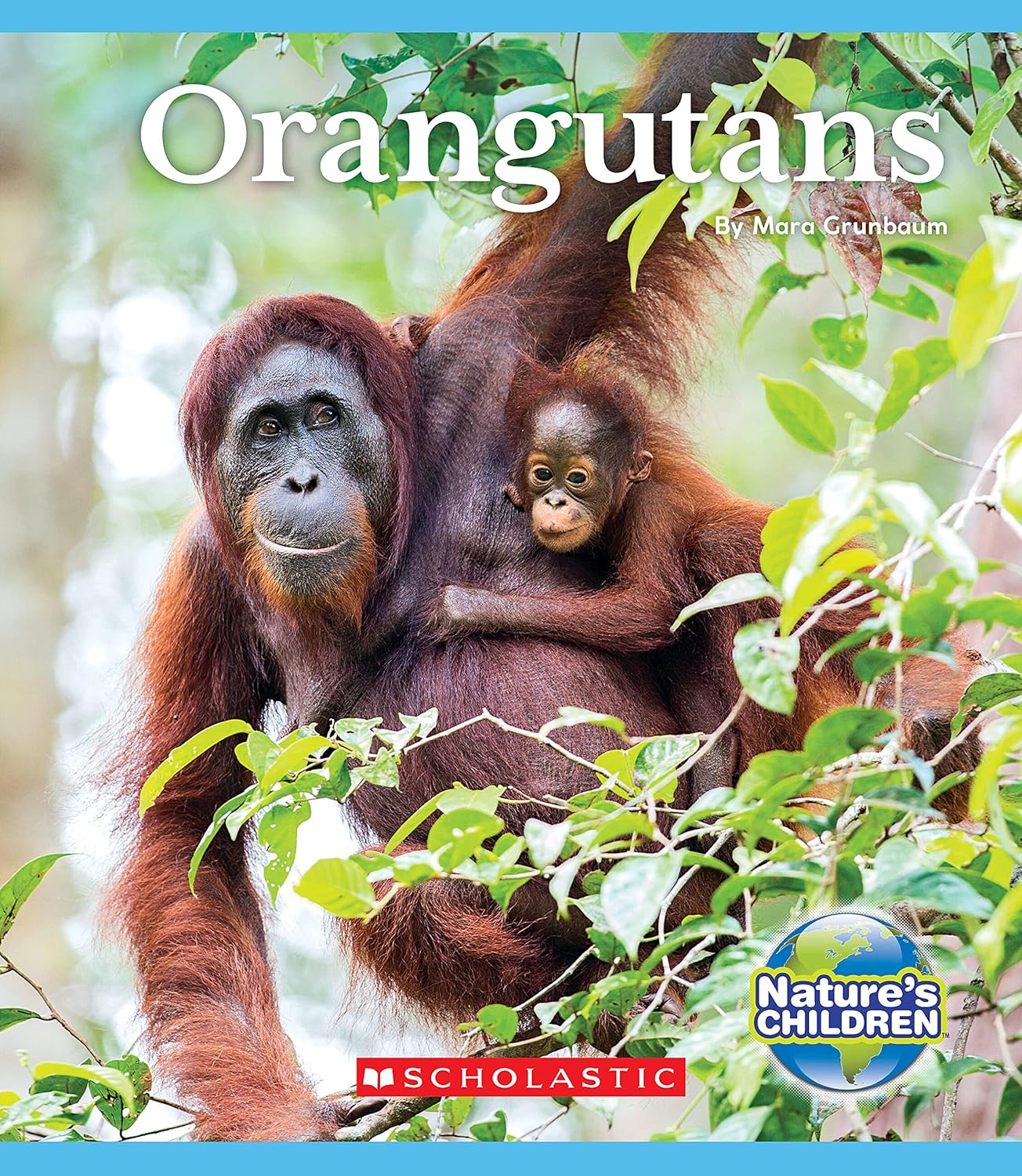 Orangutans by Mara Grunbaum