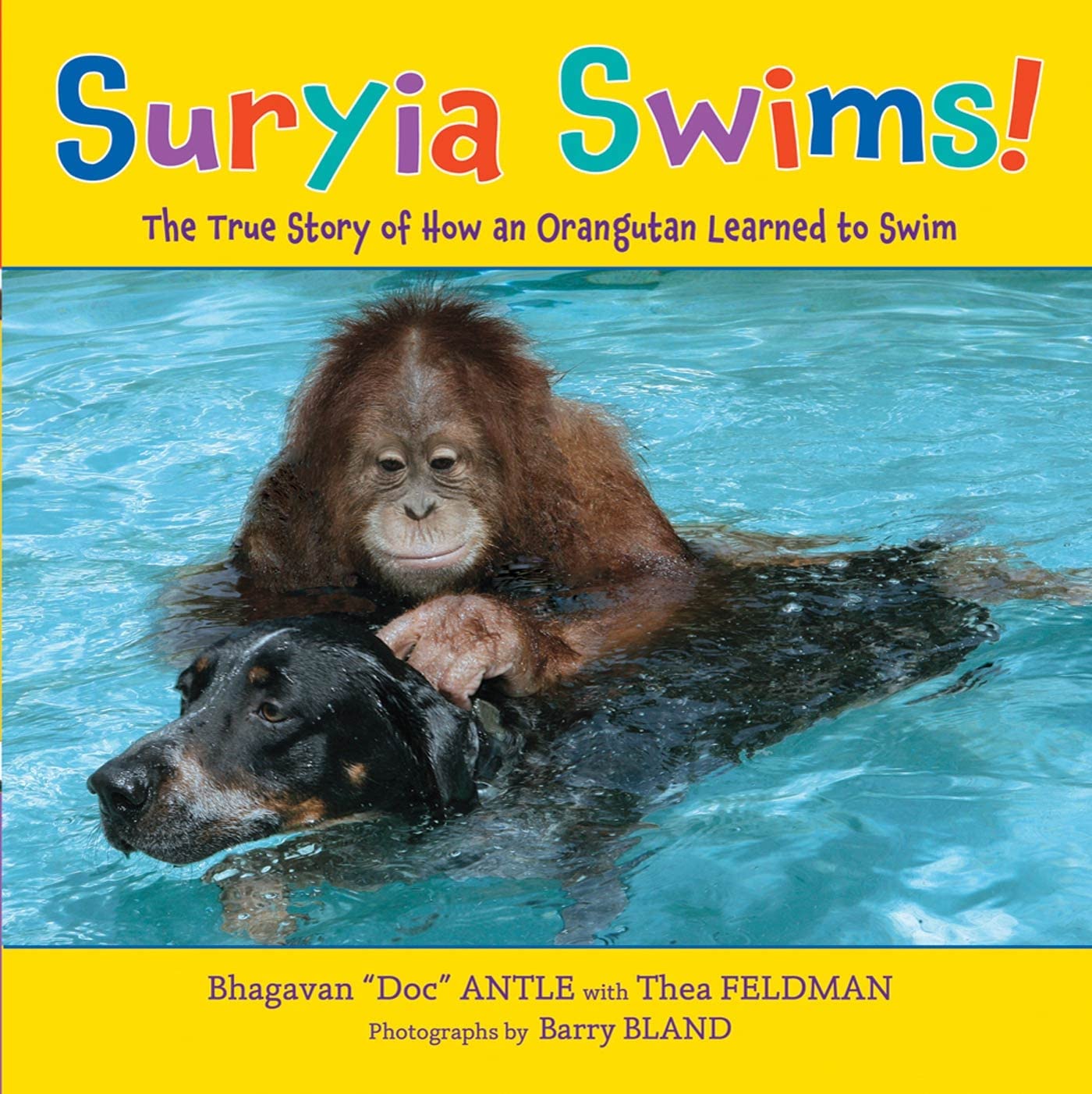 Suryia Swims!: The True Story of How an Orangutan Learned to Swim by Bhagavan Antle
