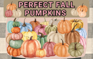 Perfect Fall Pumpkins