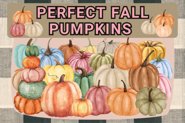Perfect Fall Pumpkins