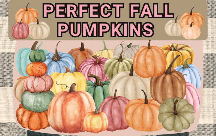 Perfect Fall Pumpkins