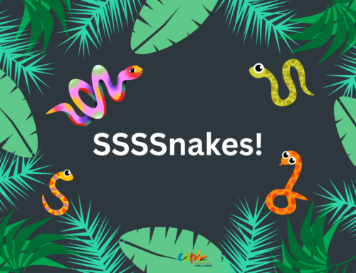 SSSSnakes!