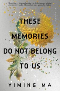 These Memories Do Not Belong To Us by Yiming Ma