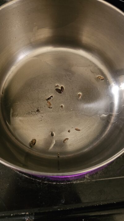 Step Two: Add the cardamom seeds to the oil and let them cook for about 1 minute.