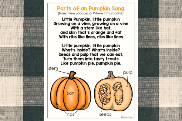teach pumpkin anatomy
