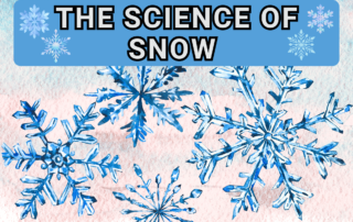 The Science of Snow