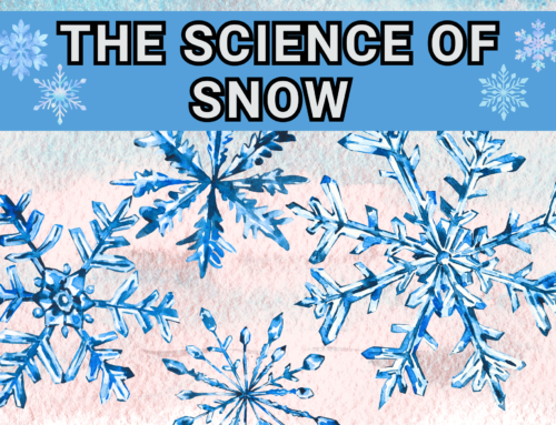 The Science of Snow
