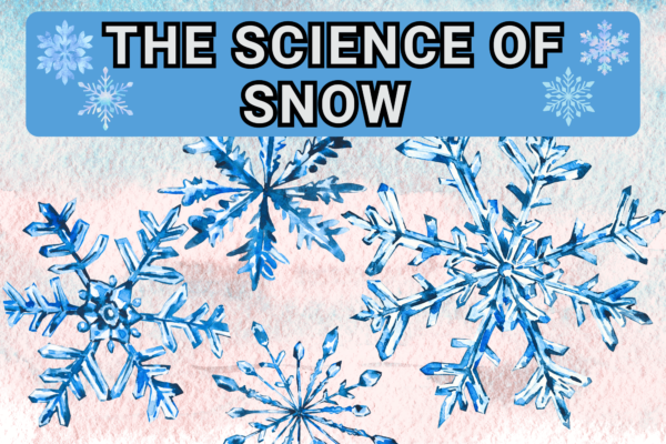 The Science of Snow