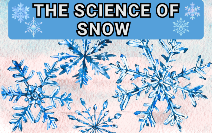 The Science of Snow