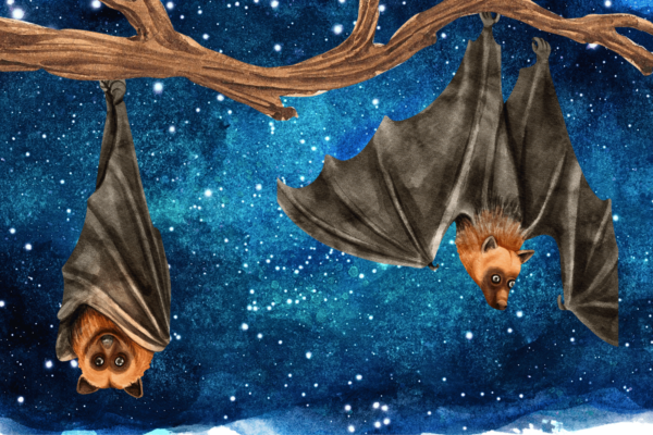 Fruit Bats