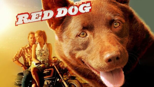Red Dog