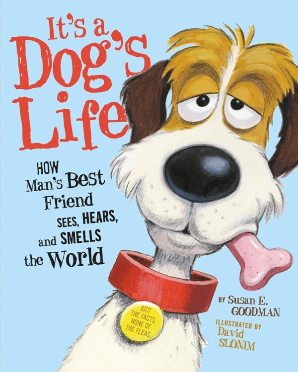 It's a Dog's Life: How Man's Best Friend Sees, Hears, and Smells the World