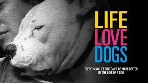 Life Love Dogs
