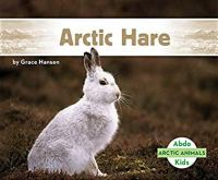 Arctic hare by Grace Hansen
