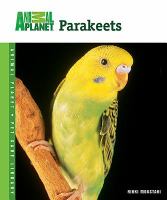 Parakeets by Nikki Moustaki