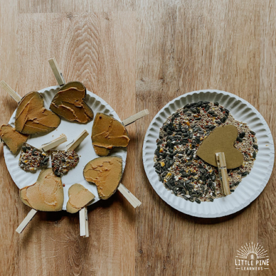 National Bird Feeding Month February Bird Treat